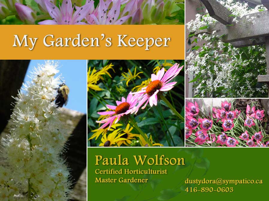 My Garden's Keeper - Paula Wolfson